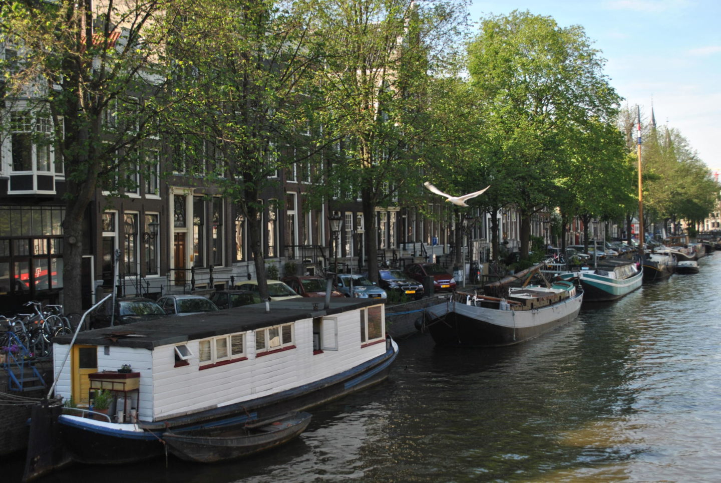Amsterdam canal boat houses