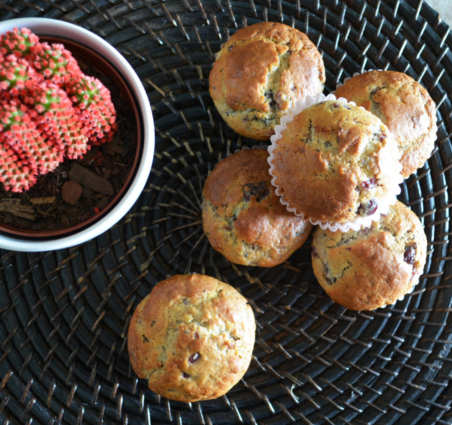 Cranberry Muffins 