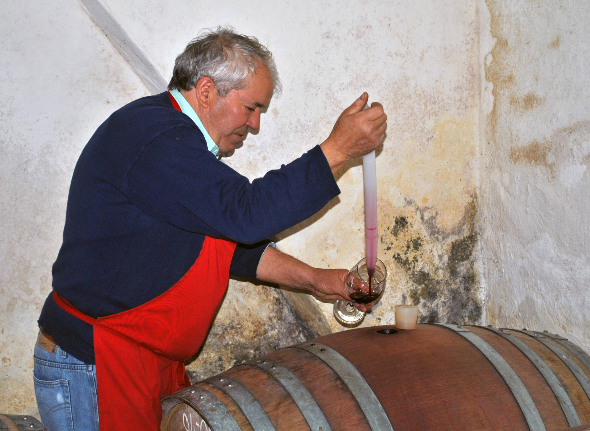 Fattoria di Bacchereto, Carmignano