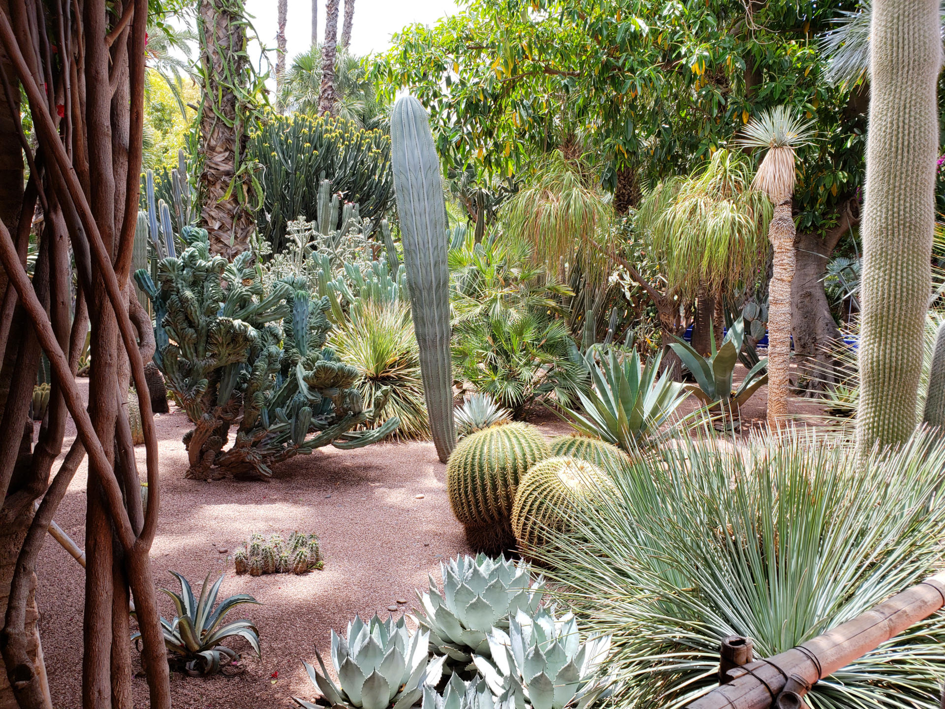 Jardin Majorelle