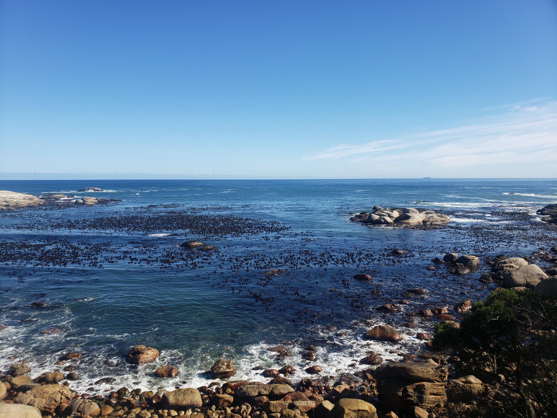 Azamare Guest House, cape town, south africa